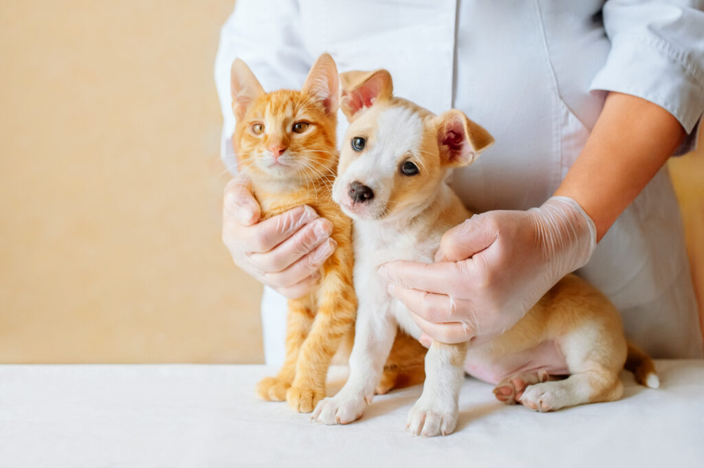 PROPOLIS PET CARE